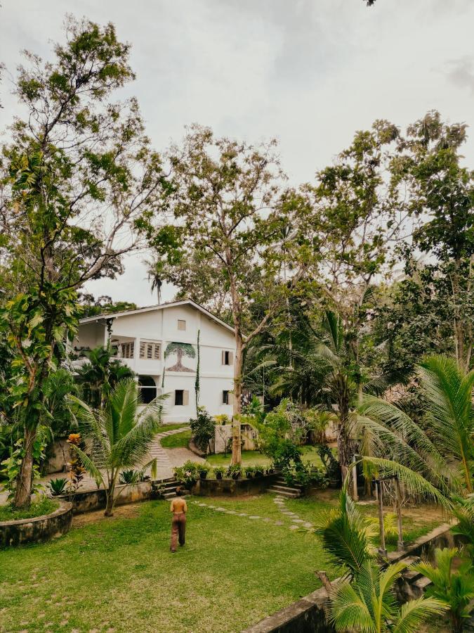 Kirinuga Boutique Retreat Hotel Tangalle Eksteriør billede